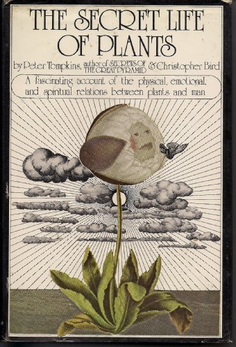 植物的秘密生命：那個一切都還可能的年代