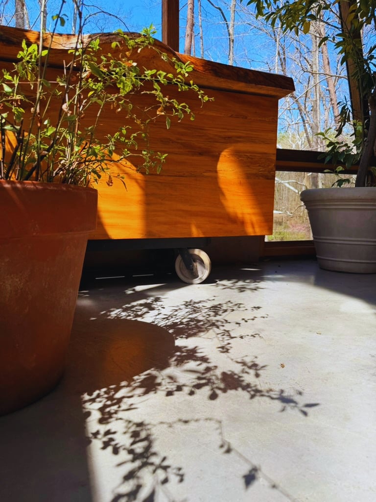 玻璃屋內光影與植栽