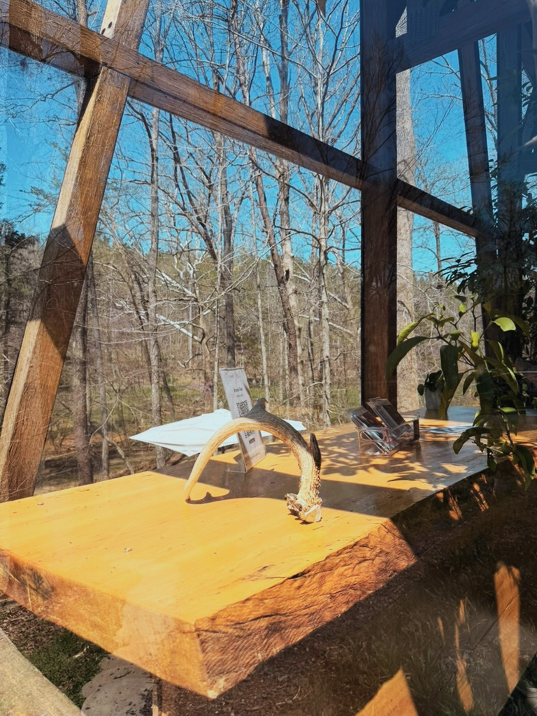 玻璃屋內望向橡木林